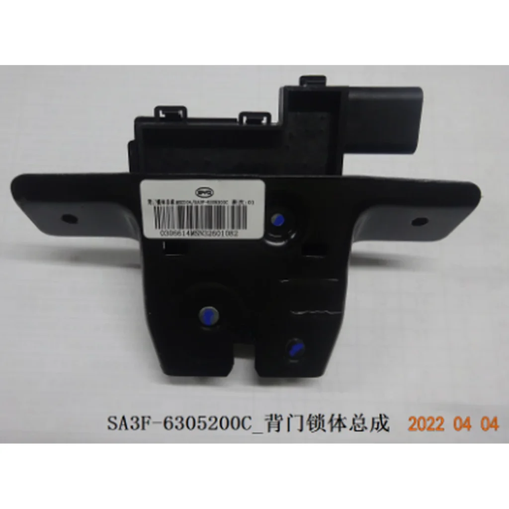 Back Door Lock Assembly