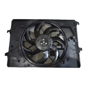 Fan